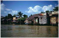 Bilder-Gallerie * Fotos vom Mekong Delta * Vietnam